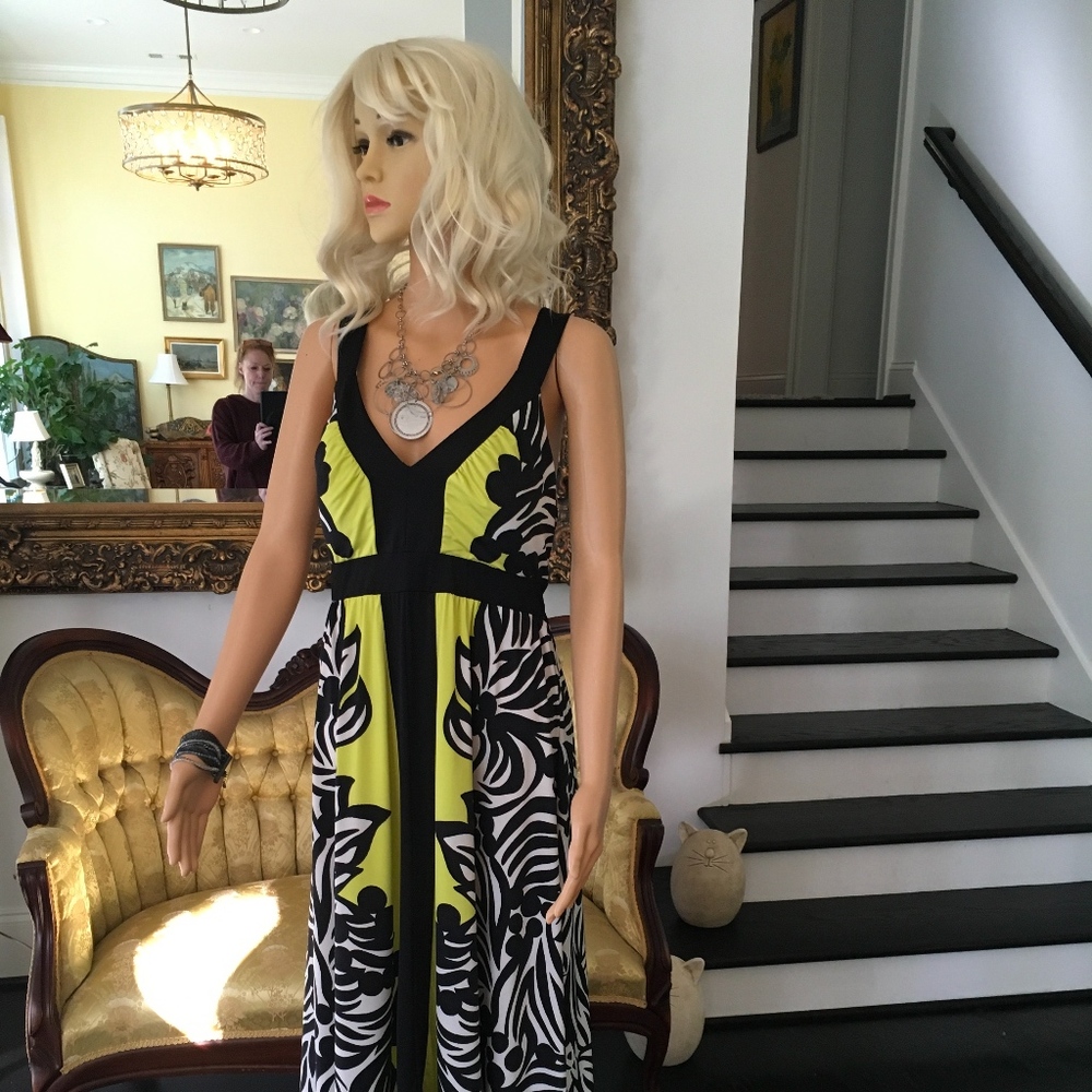 Beautiful and Soft Sundress - Great Condition